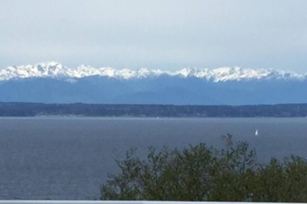 1-bedroom Seaview On Luxury Estate With Views Of Olympic Mountains Appartement Seattle