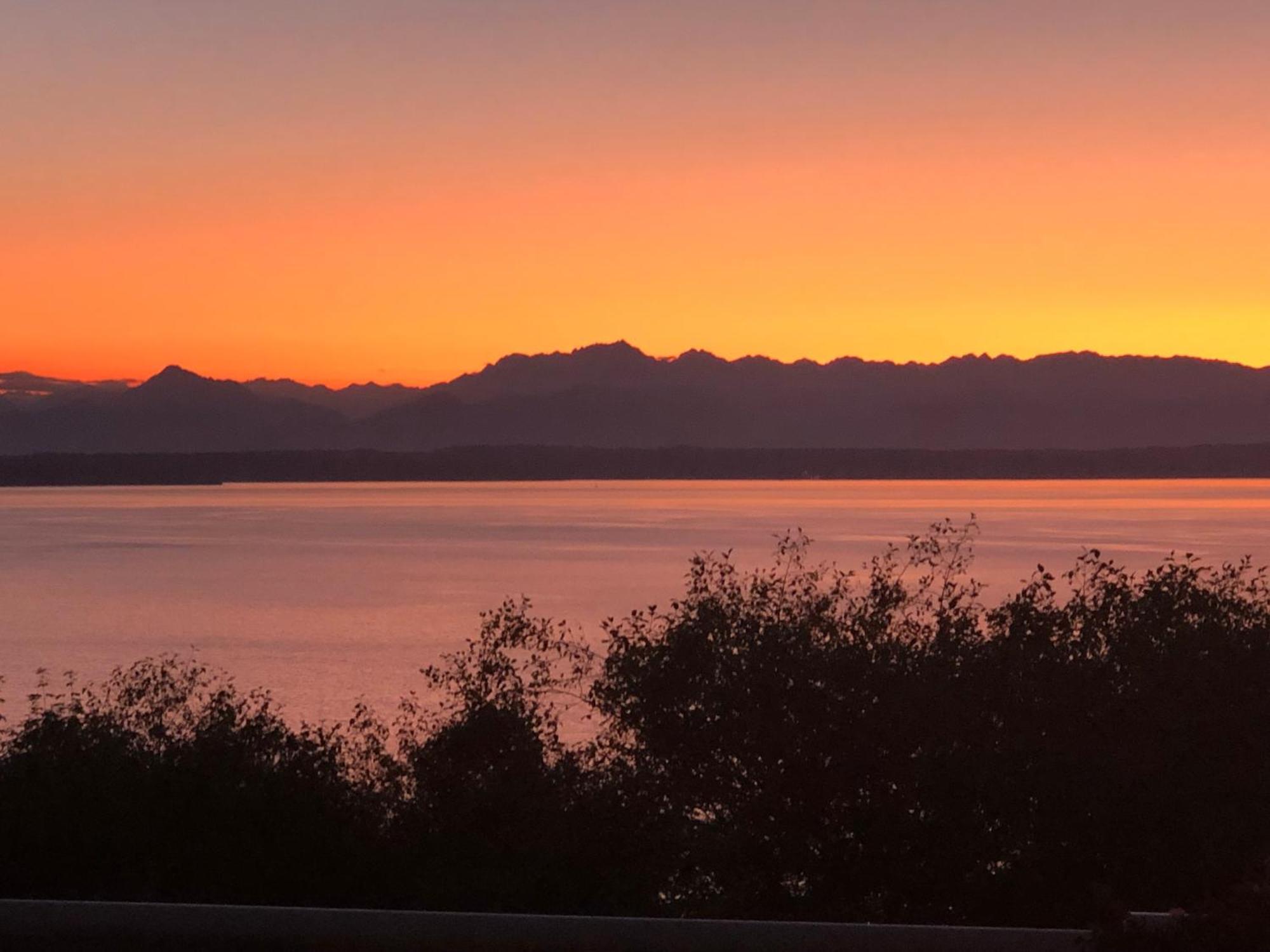 1-bedroom Seaview On Luxury Estate With Views Of Olympic Mountains Appartement Seattle